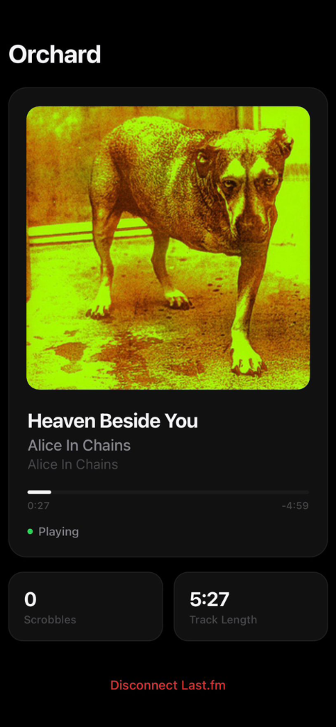 Orchard now playing — shows live scrobbling with album art, track info, and scrobble counter